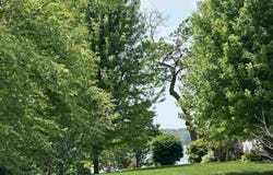 29172 Biehn Drive, Madison Lake, MN 56063