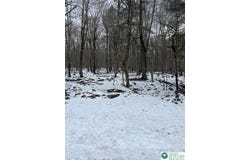 Cobblewood Road, Wayne, PA 18424