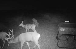 00 County Rd, Lakin, KS 66630