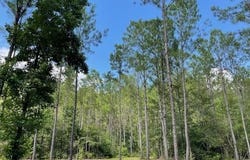 0 Highway 29, Andalusia, AL 36426