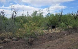 032xx N Eagle Eye Road, Aguila, AZ 85320