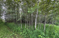3938 E 5th St, Superior, WI 54880