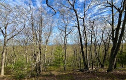 125 Van Keuren Rd, Ellenville, NY 12428
