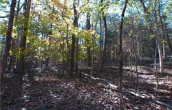 0 Dusty Road, Bowman, GA 30624