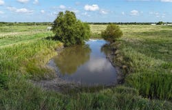 Lot 25 NW County 2170 Road, Barry, TX 75102