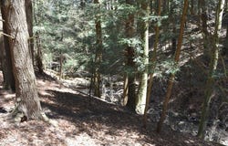 15990 MEADOW Drive, Saegertown, PA 16335