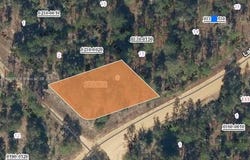 0 Unincorporated, Other City - In The State Of Florida, FL 32148
