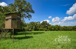 Tbd FM 908 (+/-657 acres), Caldwell, TX 77836