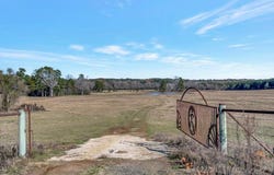 1508 Rosevine Road, San Augustine, TX 75972