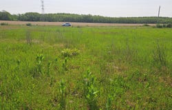 2 Acres Vl 36th Street, Gobles, MI 49055