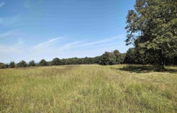 Toad Hollow rd, Mountain View, AR 72560