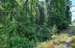 20 Tuba Drive SE, Cartersville, GA 30120