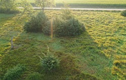 4618 Canfield Drive, Panora, IA 50216