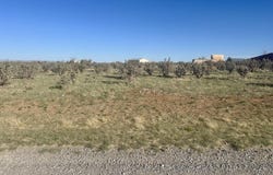 28 Calle Viernes, Edgewood, NM 87015