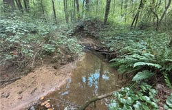 000 COUNTY ROAD 1815, JOPPA, AL 35087