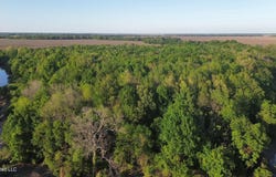 County Road 523, Schlater, MS 38952