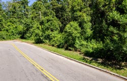 0 Moore Street, Walterboro, SC 29488