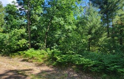 0 Chicago Avenue, Idlewild, MI 49642