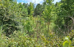 60453 River Lane, Hodgen, OK 74939