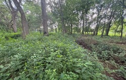 Pecan Valley Tract #60 Road, Tecumseh, OK 74873