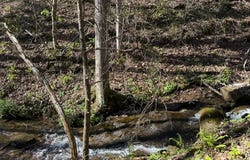 Clearview, MURPHY, NC 28906