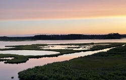 38178 DOCKSIDE DR #1266, SELBYVILLE, DE 19975