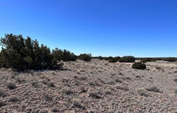 004p N N7204, St. Johns, AZ 85936