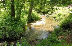 Tract 1 Timber Ridge Road, Blairsville, GA 30512