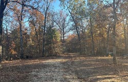 0 Tract 1 (160+/- acres) Lodge Road, Potosi, MO 65441