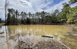 10028 Hwy 66, Alco, AR 72680