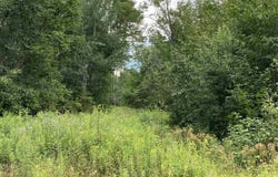 ON NICK AVENUE, Weston, WI 54476