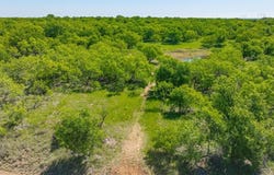 0000 Proffitt Road, Newcastle, TX 76372