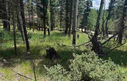 Lot 44 Calle de los Indios, Angel Fire, NM 87710