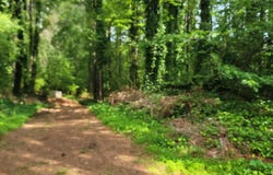 0 Lake Latimer, Kennesaw, GA 30144
