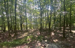 Lot 29 Moseywood Road, Lake Harmony, PA 18624