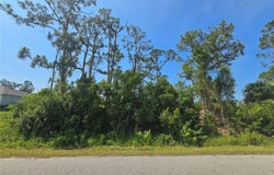 ALTOONA AVENUE, NORTH PORT, FL 34286