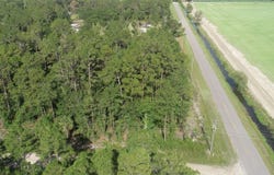 5505 MELANIE STREET, HASTINGS, FL 32145
