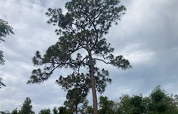10553 HAZEL AVENUE, HUDSON, FL 34669
