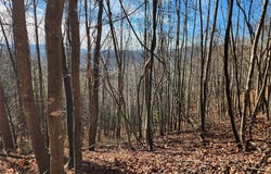 6900 Mertie Road, Millers Creek, NC 28651