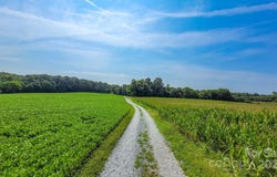 7908 Concord Highway, Monroe, NC 28110