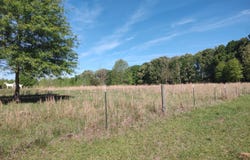 25630 Mississippi 18, Utica, MS 39175