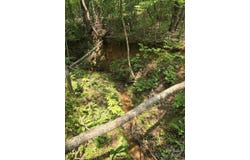 State Line Road lot: 10, Mooresboro, NC 28114
