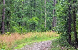 2500 Prysock, Benton, AR 72015