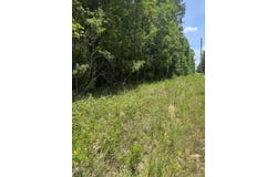 Shenandoah Rd, Poplarville, MS 39470