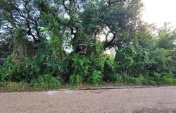3012 Moon Court, Granbury, TX 76049