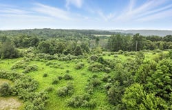 0 Rumsey Rd, Sayre, PA 18840
