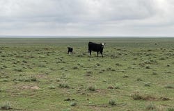 Hwy, Kit Carson, CO 80825