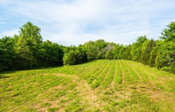 US-79, Humboldt, TN 38343