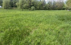 Country Wood Lane, Crawley, WV 24931