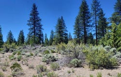 11 Acres A-12, Montague, CA 96064